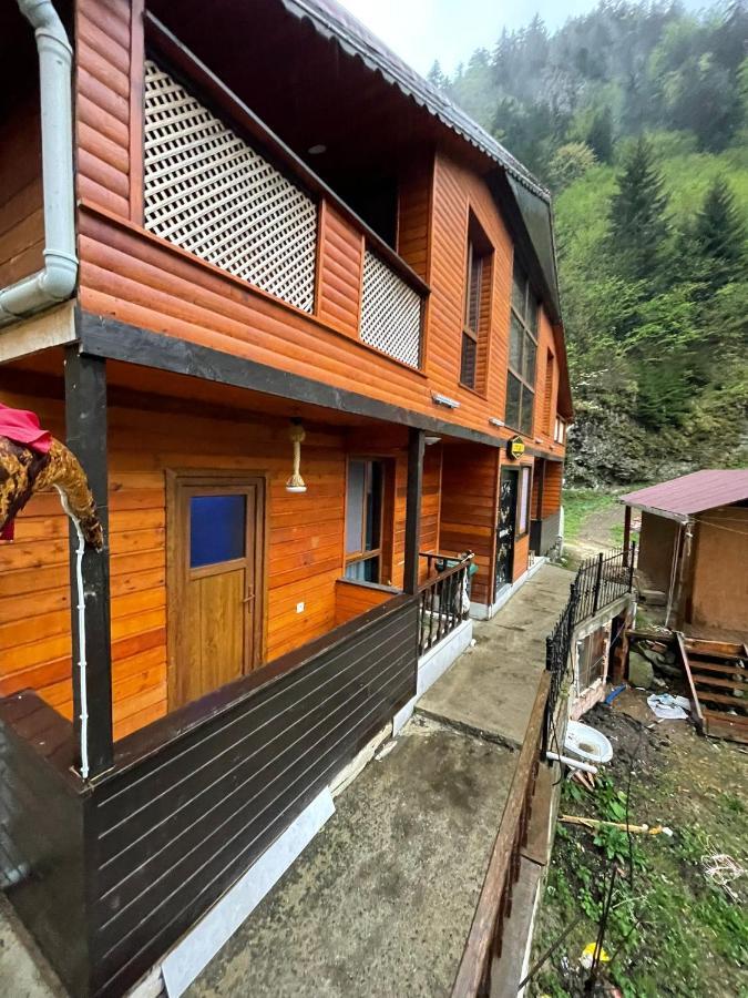 Nirvana Suite Hotel Uzungol Exterior foto